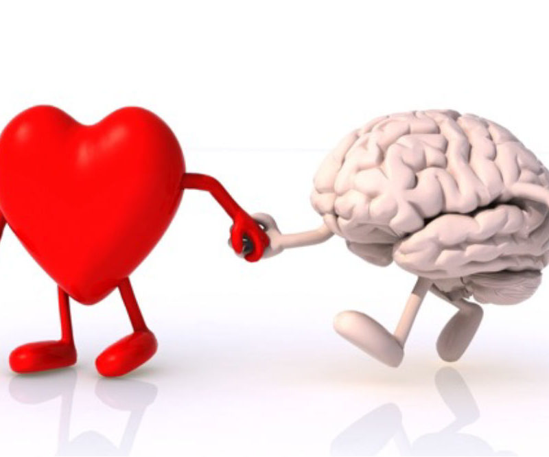 Why Our Brains Love It When We Exercise