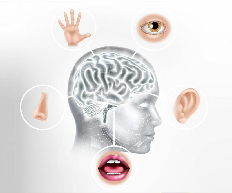 Tuning In To The World Around Us To Discover A New Sense Of Wellbeing