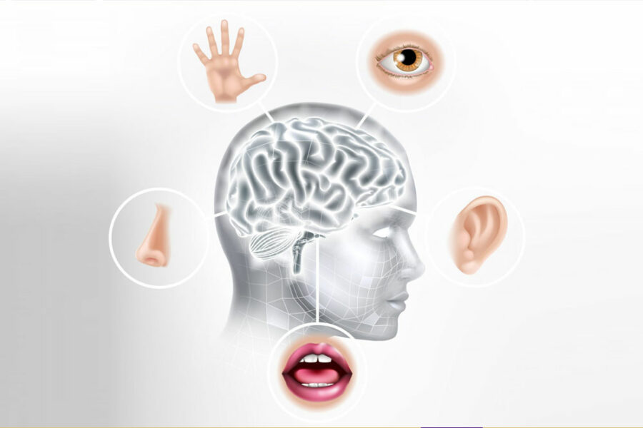 Tuning In To The World Around Us To Discover A New Sense Of Wellbeing