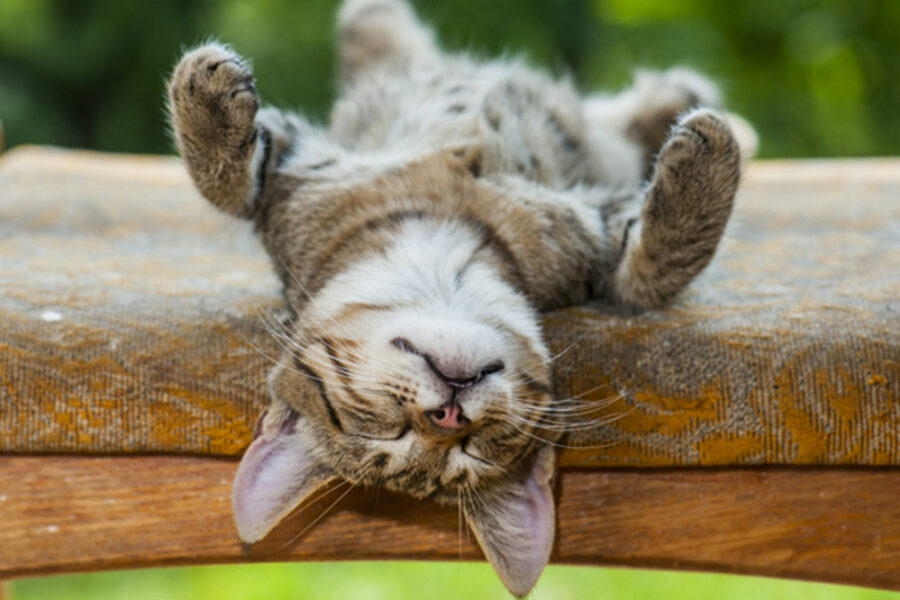 The 7 Types Of Rest That We All Need
