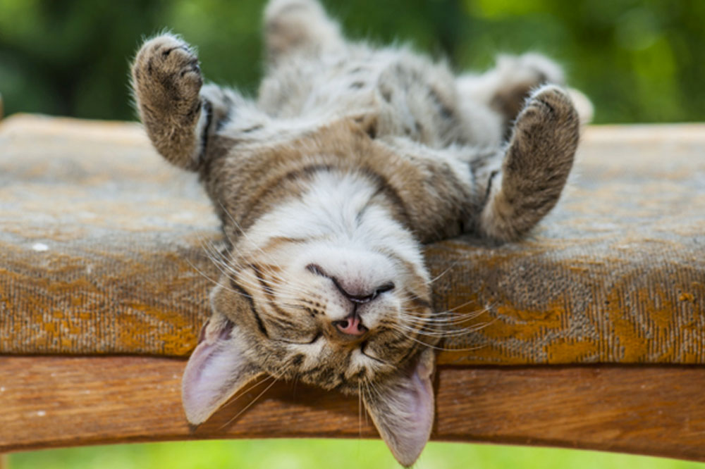SEP 2023 – THE 7 TYPES OF REST THAT WE ALL NEED